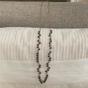 Banana Republic Gold & Navy Stone Long Necklace